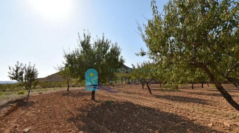 Murcia - Mazarrón - 40000m2