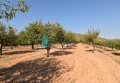 Terreno no urbanizable en venta en la España, Mazarrón, ref: TR330230 foto