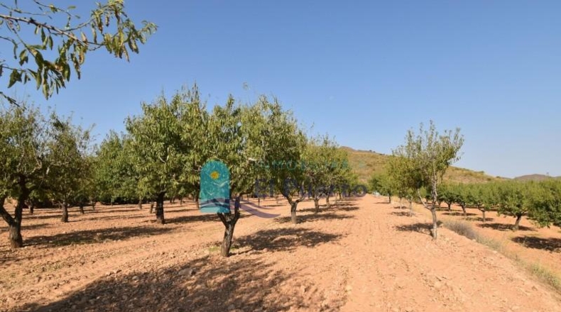 Murcia - Mazarrón - 40000m2