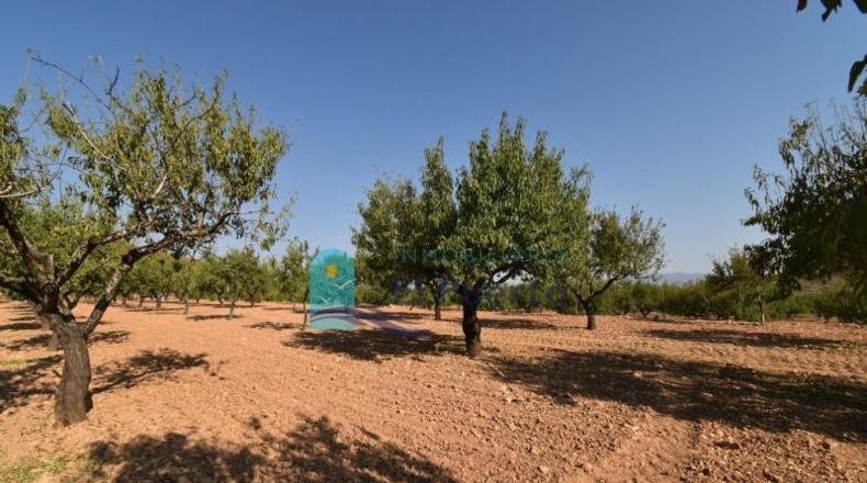 Murcia - Mazarrón - 40000m2