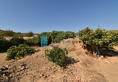 Terreno no urbanizable en venta en la España, Mazarrón, ref: TR330230 foto