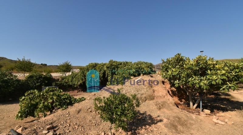 Murcia - Mazarrón - 40000m2