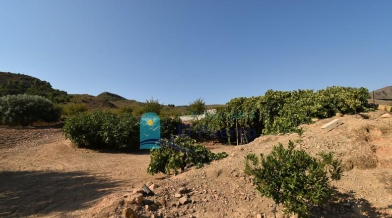 Murcia - Mazarrón - 40000m2