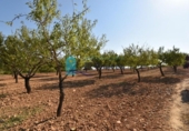 Terreno no urbanizable en venta en la España, Mazarrón, ref: TR330230 foto