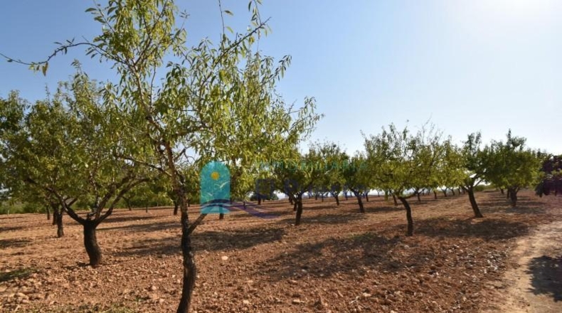 Murcia - Mazarrón - 40000m2