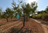 Terreno no urbanizable en venta en la España, Mazarrón, ref: TR330230 foto