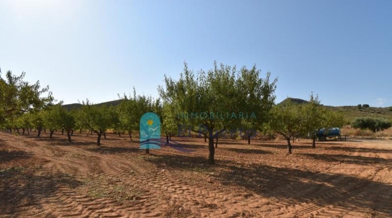 Murcia - Mazarrón - 40000m2