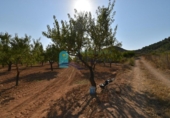 Terreno no urbanizable en venta en la España, Mazarrón, ref: TR330230 foto