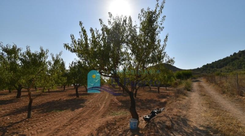 Murcia - Mazarrón - 40000m2