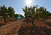 Terreno no urbanizable en venta en la España, Mazarrón, ref: TR330230 foto