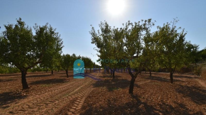 Murcia - Mazarrón - 40000m2
