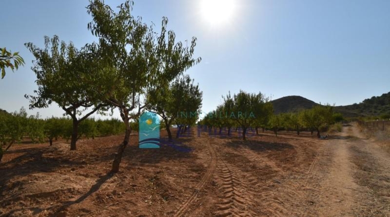 Murcia - Mazarrón - 40000m2