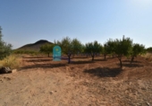 Terreno no urbanizable en venta en la España, Mazarrón, ref: TR330230 foto