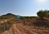 Terreno no urbanizable en venta en la España, Mazarrón, ref: TR330230 foto