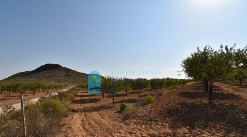 Murcia - Mazarrón - 40000m2