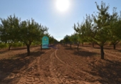 Terreno no urbanizable en venta en la España, Mazarrón, ref: TR330230 foto