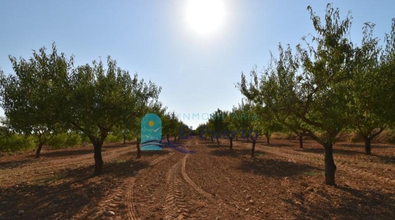 Murcia - Mazarrón - 40000m2