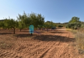 Terreno no urbanizable en venta en la España, Mazarrón, ref: TR330230 foto