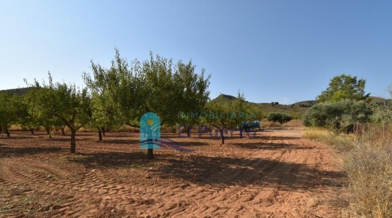 Murcia - Mazarrón - 40000m2