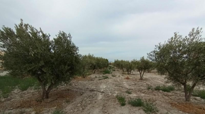 Múrcia - Puerto Lumbreras - 8000m2
