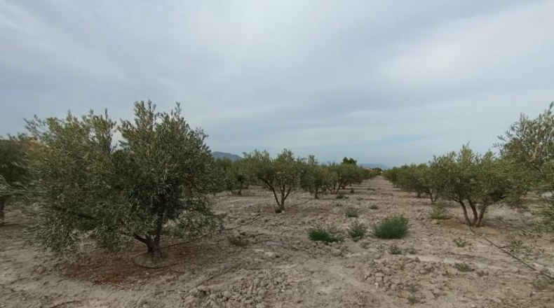 Múrcia - Puerto Lumbreras - 8000m2