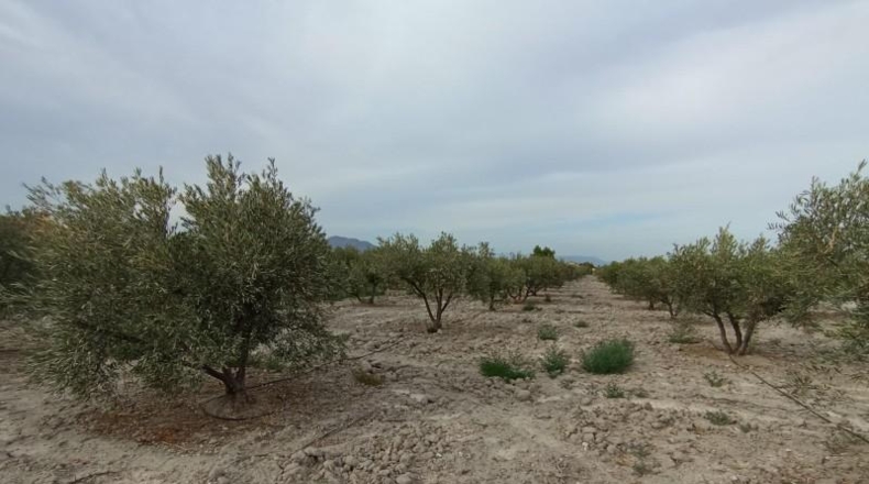 Múrcia - Puerto Lumbreras - 8000m2