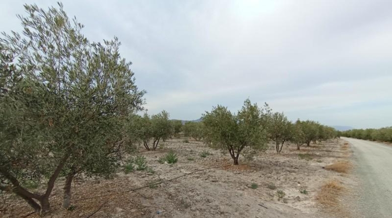 Múrcia - Puerto Lumbreras - 8000m2