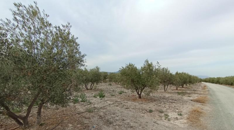 Múrcia - Puerto Lumbreras - 8000m2