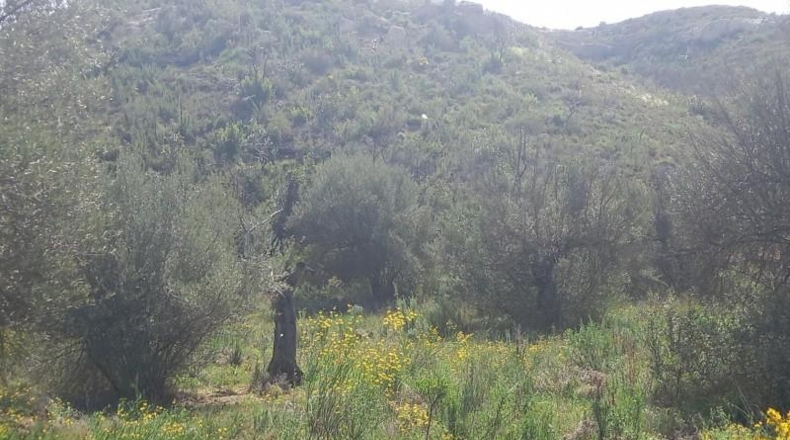Tarragona - la Torre de l'Espanyol - 100000m2