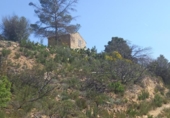 Terreny no urbanitzable en venda a la España, la Torre de l'Espanyol, ref.: TR324922 foto
