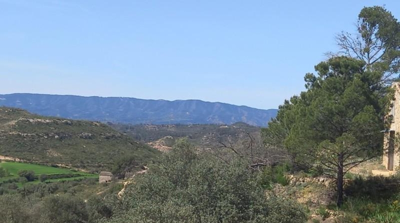 Tarragona - la Torre de l'Espanyol - 100000m2