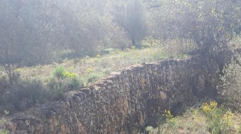 Tarragona - la Torre de l'Espanyol - 100000m2