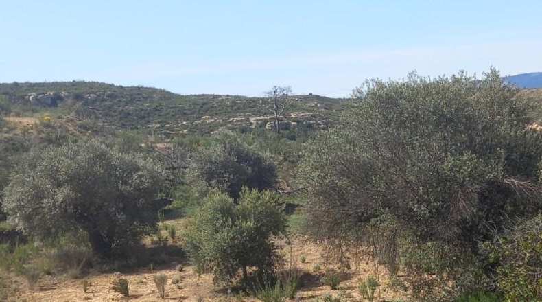 Tarragona - la Torre de l'Espanyol - 100000m2