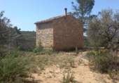 Terreny no urbanitzable en venda a la España, la Torre de l'Espanyol, ref.: TR324922 foto