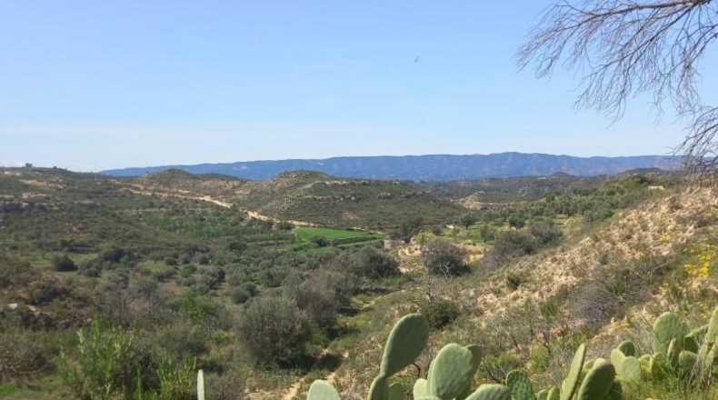 Tarragona - la Torre de l'Espanyol - 100000m2