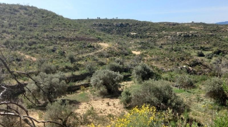 Tarragona - la Torre de l'Espanyol - 100000m2