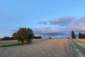 Arcos de la Frontera 4000&nbsp;m² 