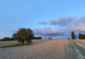 Land suitable for development for sale on España, Arcos de la Frontera, ref: TR369468 photo