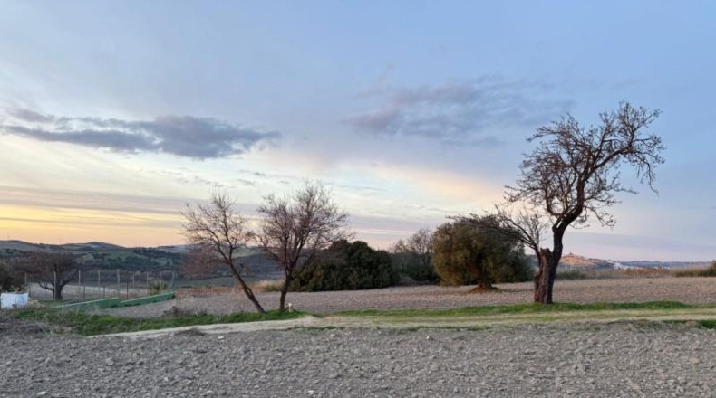 Cádiz - Arcos de la Frontera - 4000m2