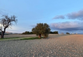 Land suitable for development for sale on España, Arcos de la Frontera, ref: TR369468 photo