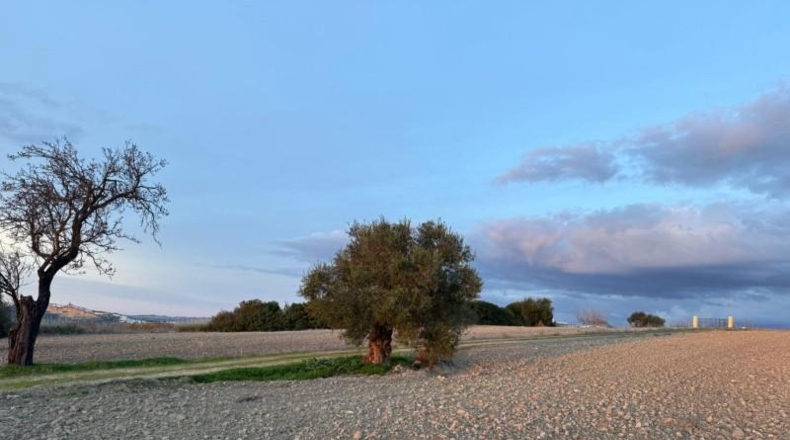 Cádiz - Arcos de la Frontera - 4000m2