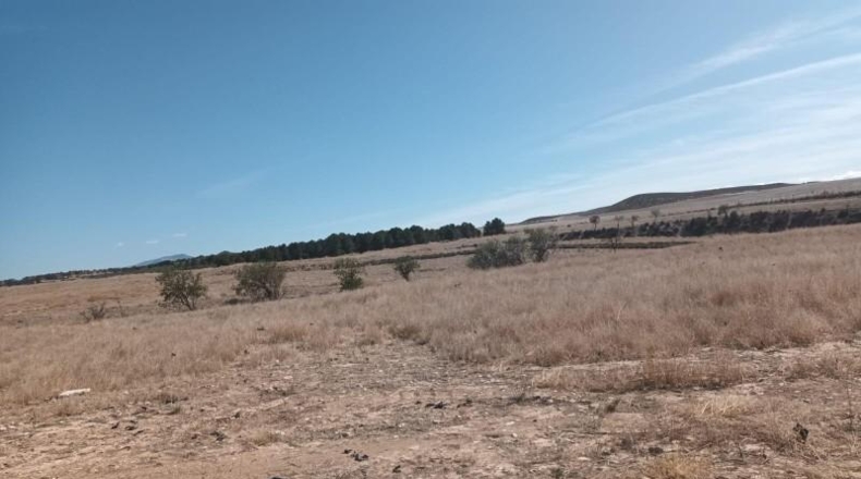 Murcia - Lorca - 57744m2
