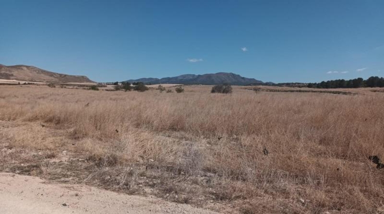Murcia - Lorca - 57744m2