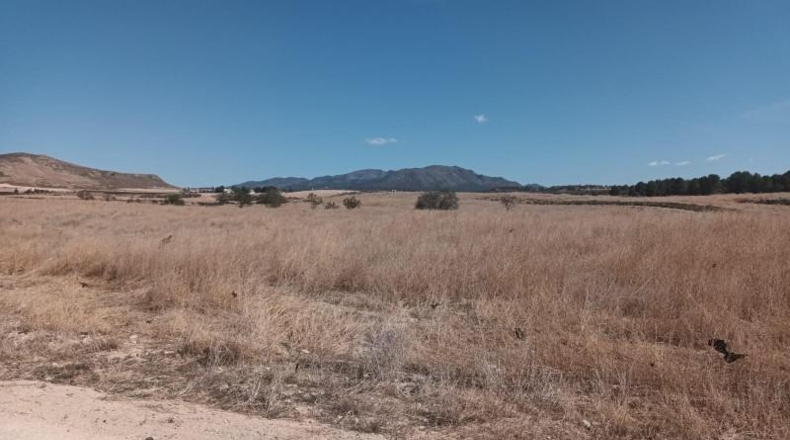 Murcia - Lorca - 57744m2