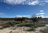 Non-developable land for sale on España, Fortuna, ref: TR379440 photo