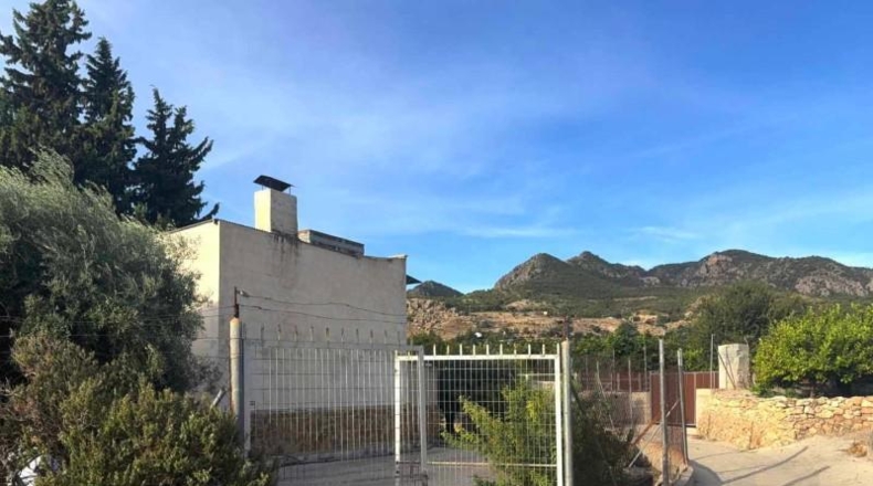 Murcia - Ricote - 10050m2