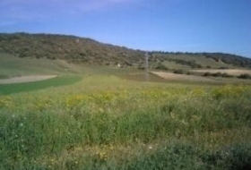 Vejer de la Frontera 16000&nbsp;m² 