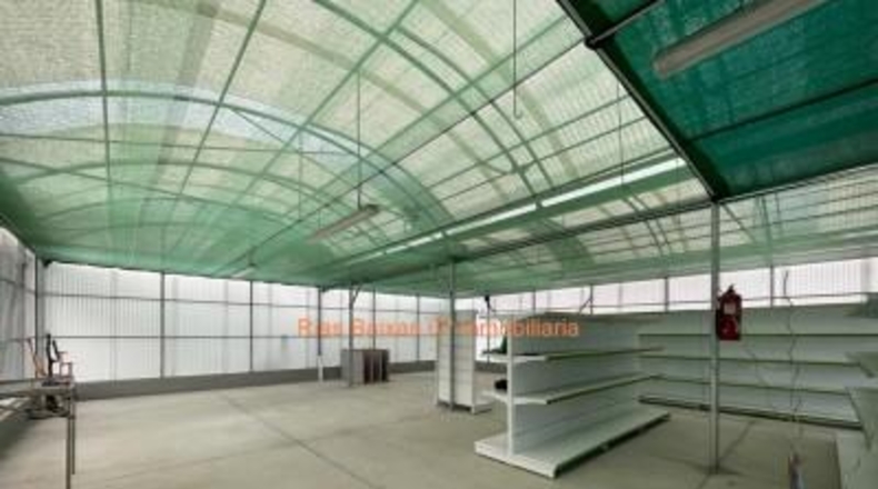 Pontevedra - Salceda de Caselas - 932m2