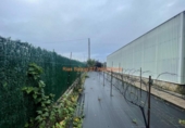 Non-developable land for sale on España, A Esfarrapada, ref: TR119571 photo