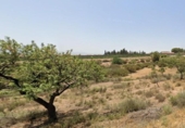 Земля на продажу у города Totana Фото